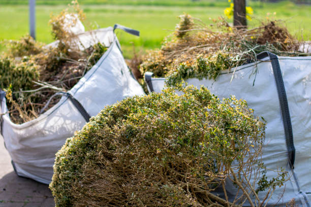 Best Recycling Services for Junk  in Fincastle, TN