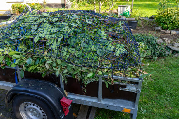 Best Shed Removal  in Fincastle, TN